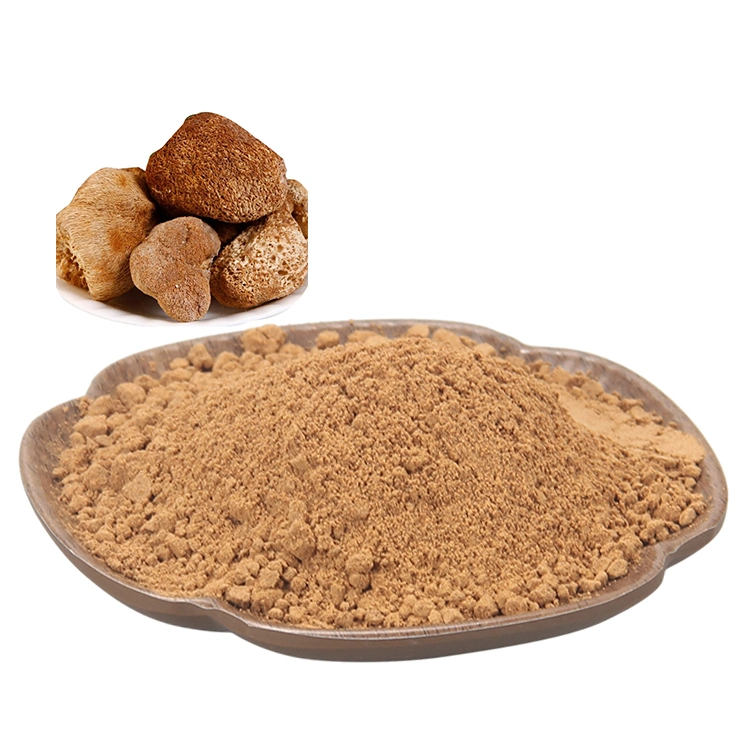 Food Grade Polysaccharide Hericium Erinaceus Extract Lion's Mushroom Extract