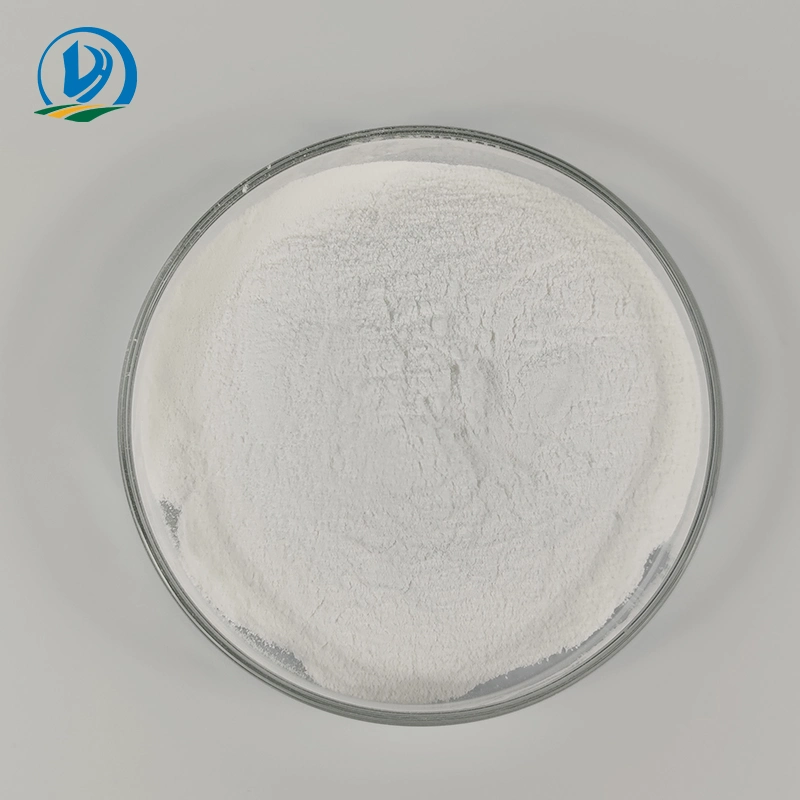 Ampicillin Sodium Soluble Powder with GMP Certificate