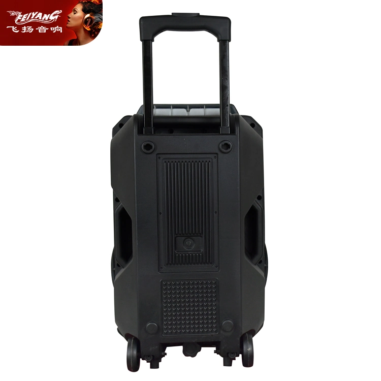 Feiyang 12 Inch Trolley Outdoor Party Mini Portable Bluetooth Speaker