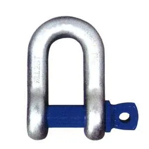 Standard Commercial EU Type Stainless Steel D Shackle with Factory Direct Sale