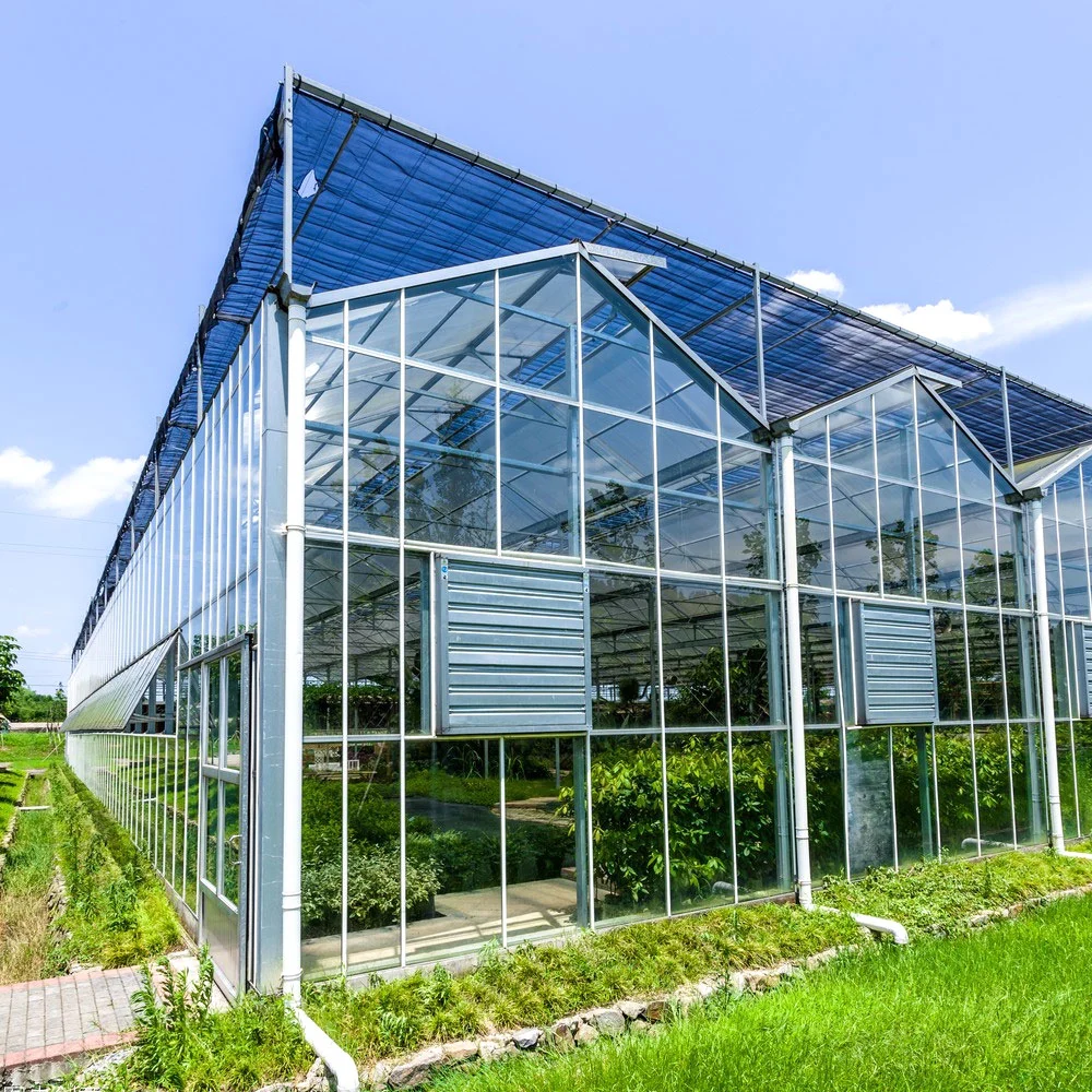 Film/Glass/Steel Structure Multi Span Greenhouse with Hydroponic/Aeroponic/Fan Boiler for Cherry/Cucumber/Pepper