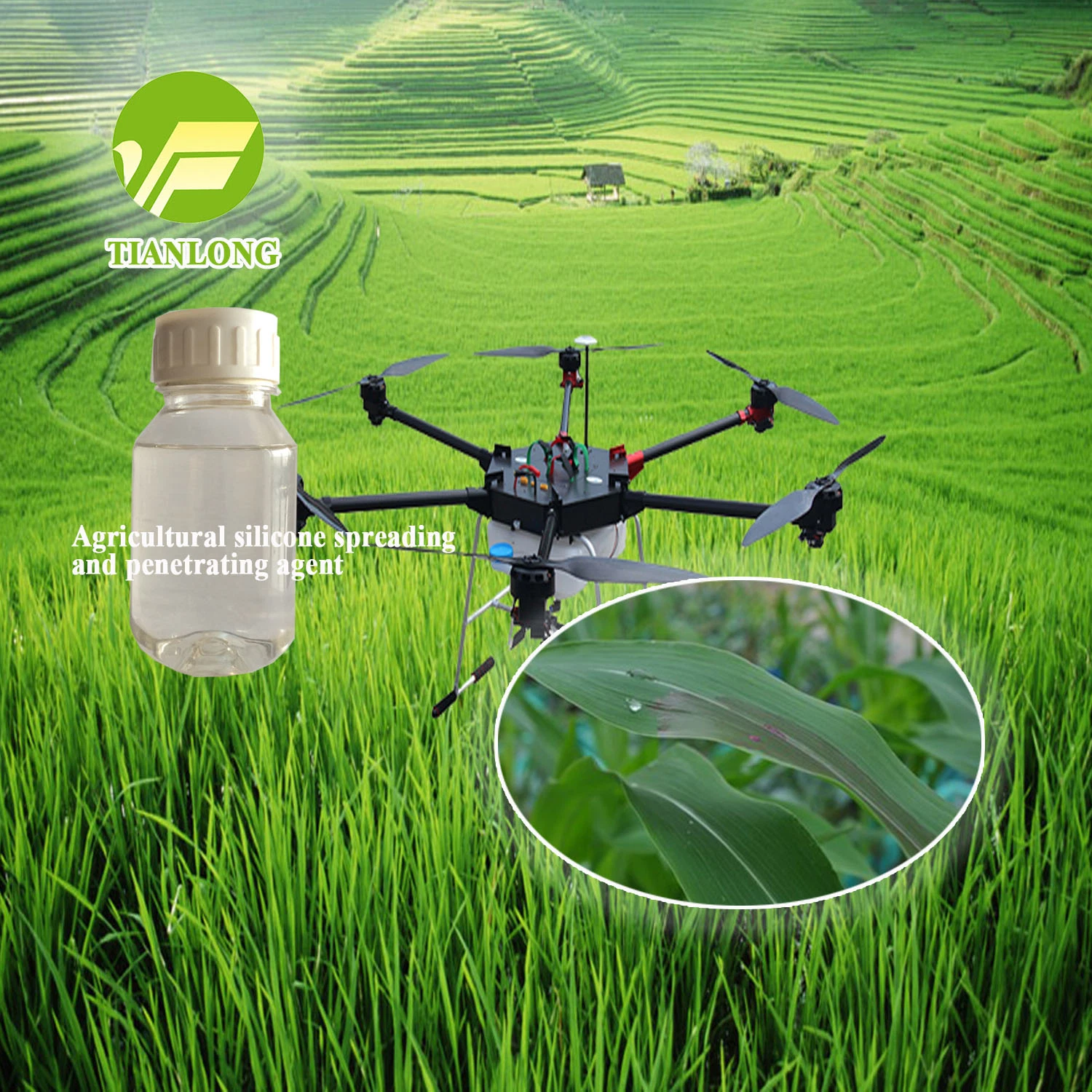 Silicone Adjuvant for Agricuture  CAS No.: 	67674-67-3