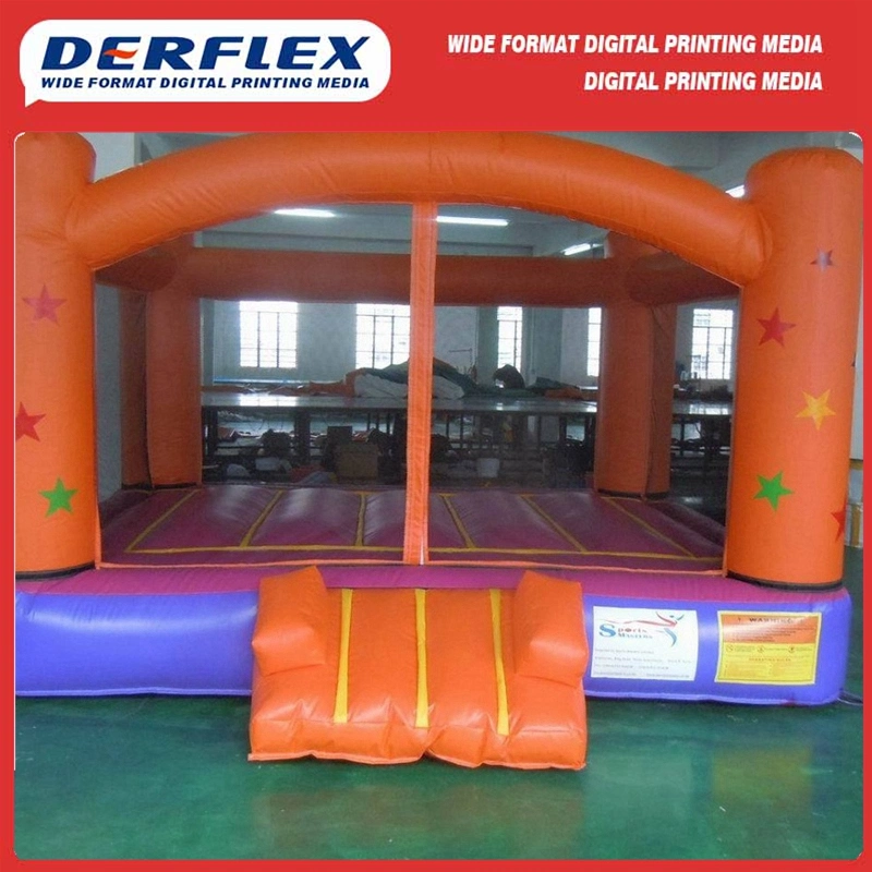 Factory Price PVC Tarpaulin Plastic Raw Materials Inflatable Children's Play Ground