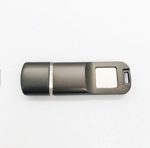 Оптовая торговля USB Flash Drive Encryption отпечатков пальцев диск USB 2.0