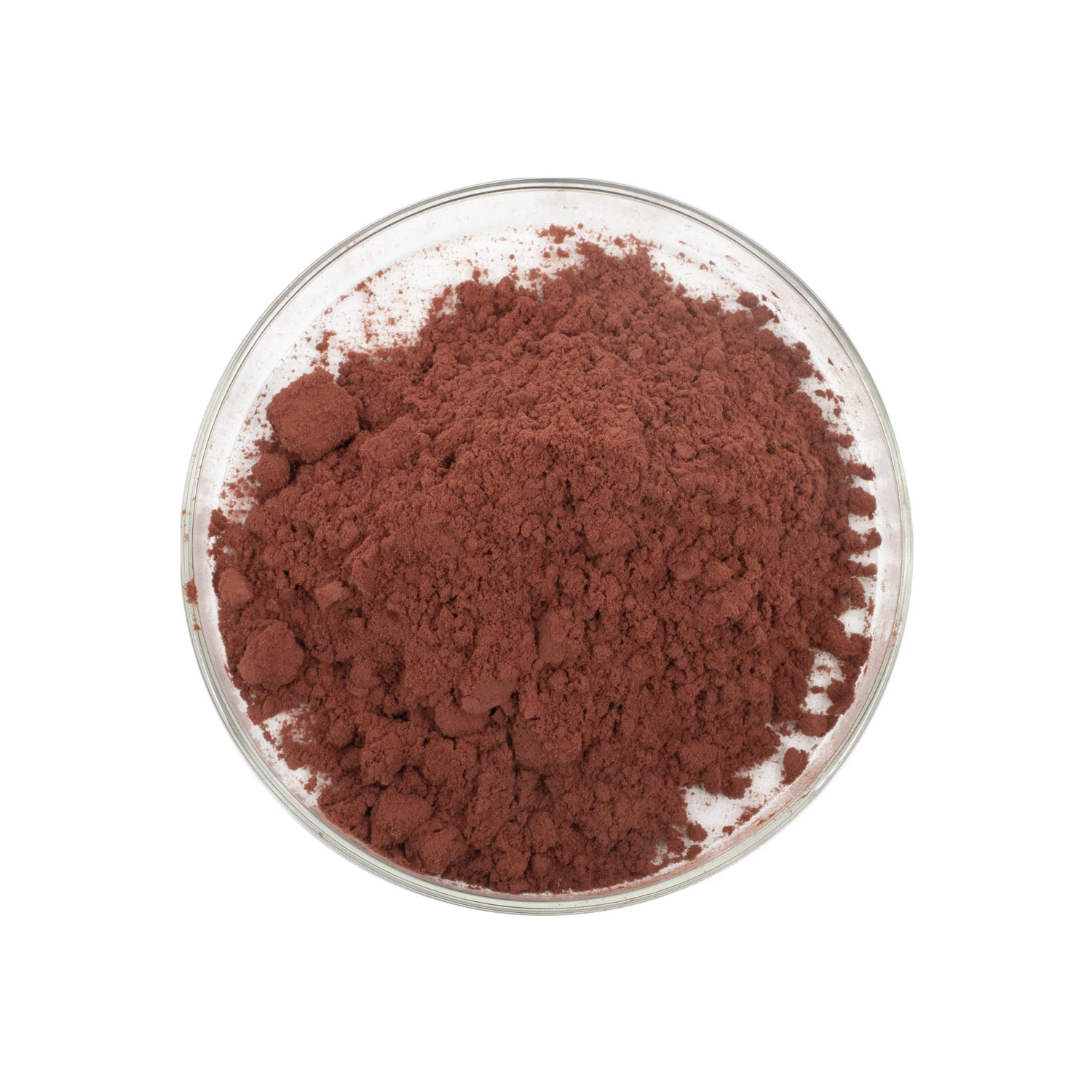 Natural Herb Extract Pine Bark Extract Powder 95% Proanthocyanidins for Foods and Supplement