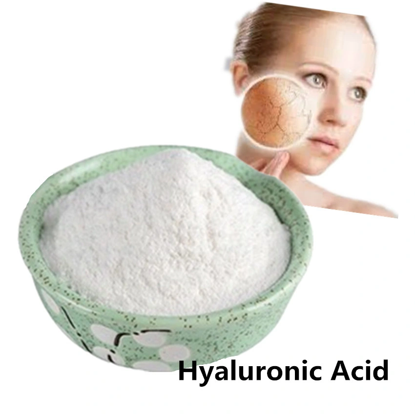 Heißer Verkauf Pharmazeutisches Zwischenprodukt Hyaluronsäure Pulver CAS 9004-61-9 Hyaluronic Säure