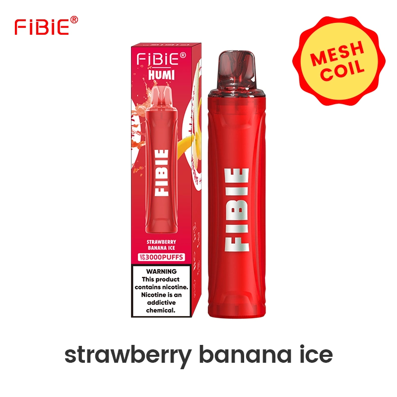 Global Popular Rechargeable Fibie Nic Salt 10 Fruit Flavors Shenzhen China CE RoHS FCC 3000 Puff Mesh Coil Disposable/Chargeable Vape