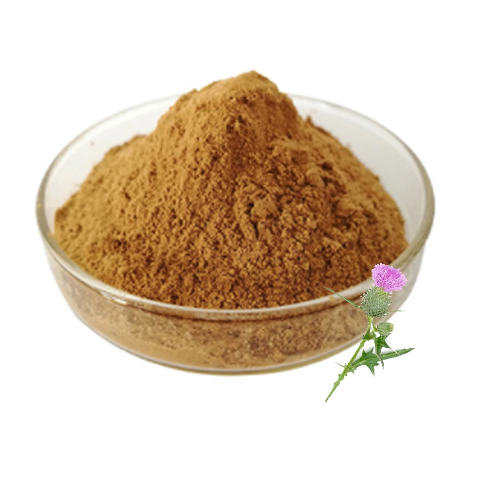 High Quality Milk Thistle Extract Silymarin Milk Thistle Extract