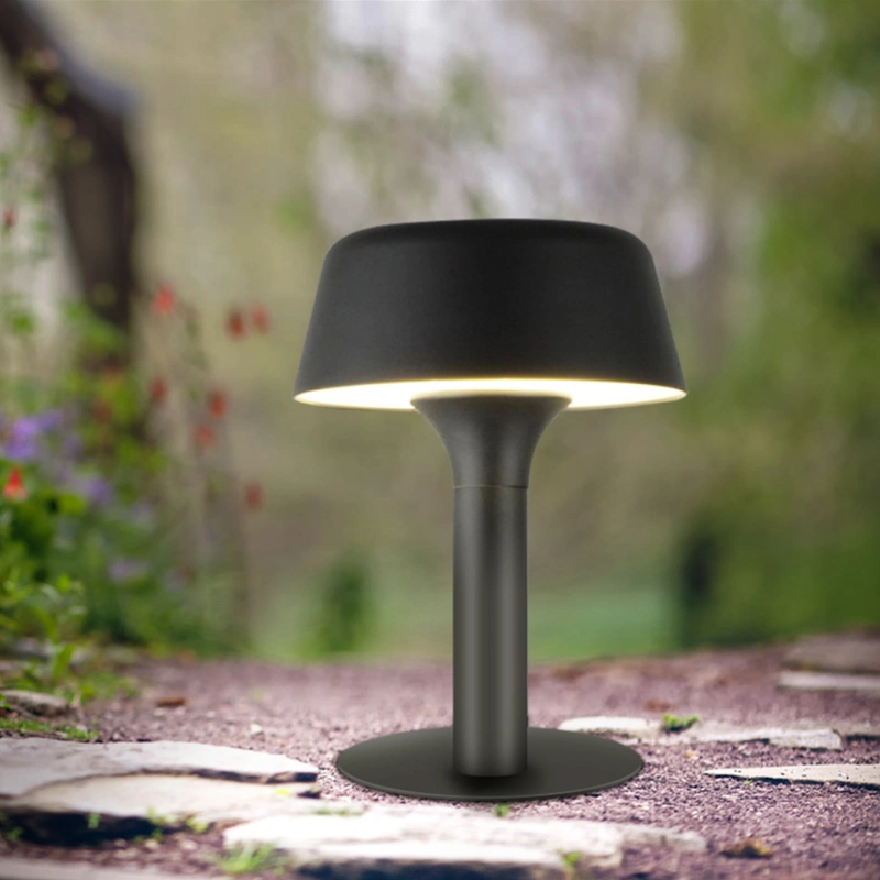 Moya New USB Solar LED Decorative Table Lamp with Light Sensing