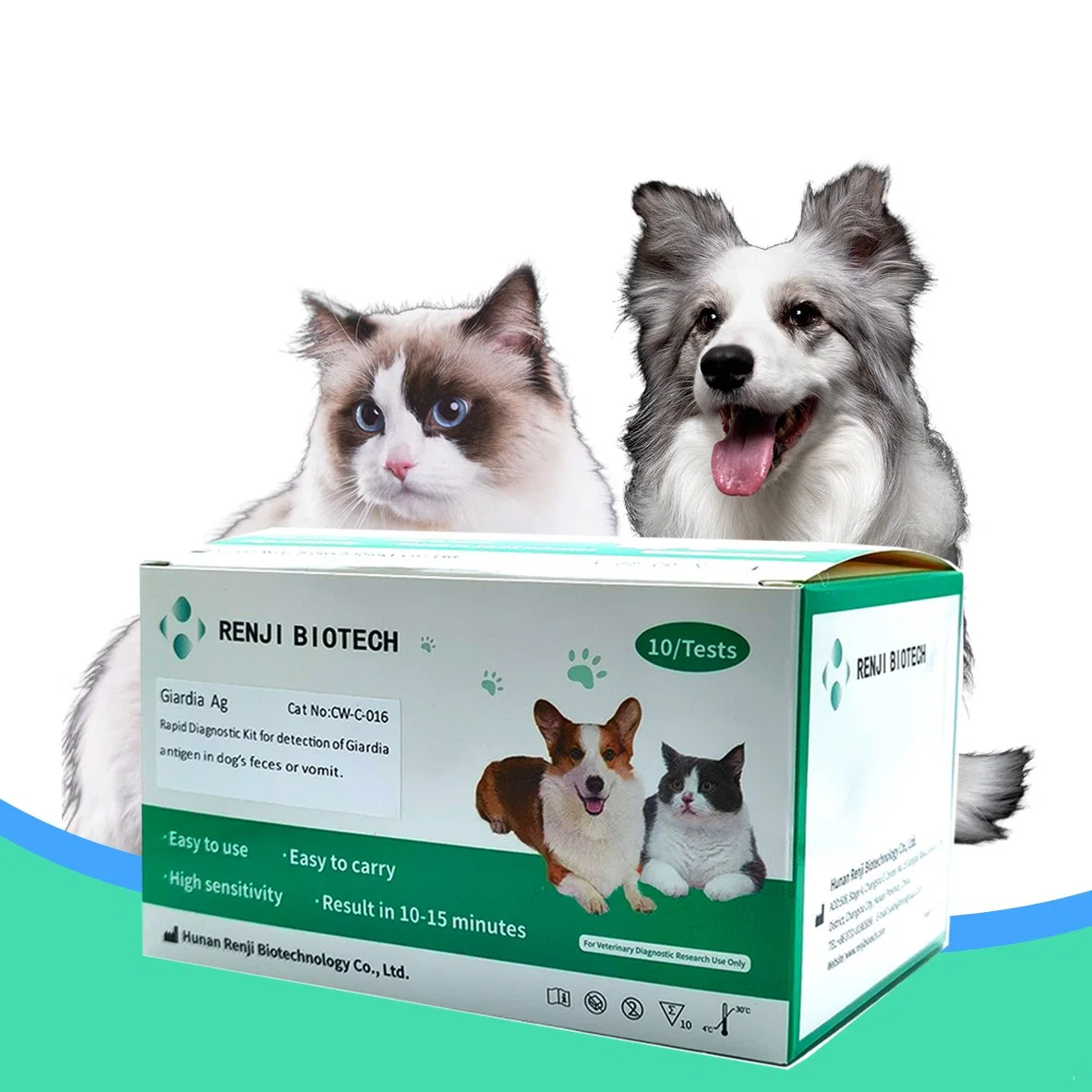 Kit de test rapide d'antigène vétérinaire vétérinaire vétérinaire vétérinaire vétérinaire vétérinaire pour chien Cat