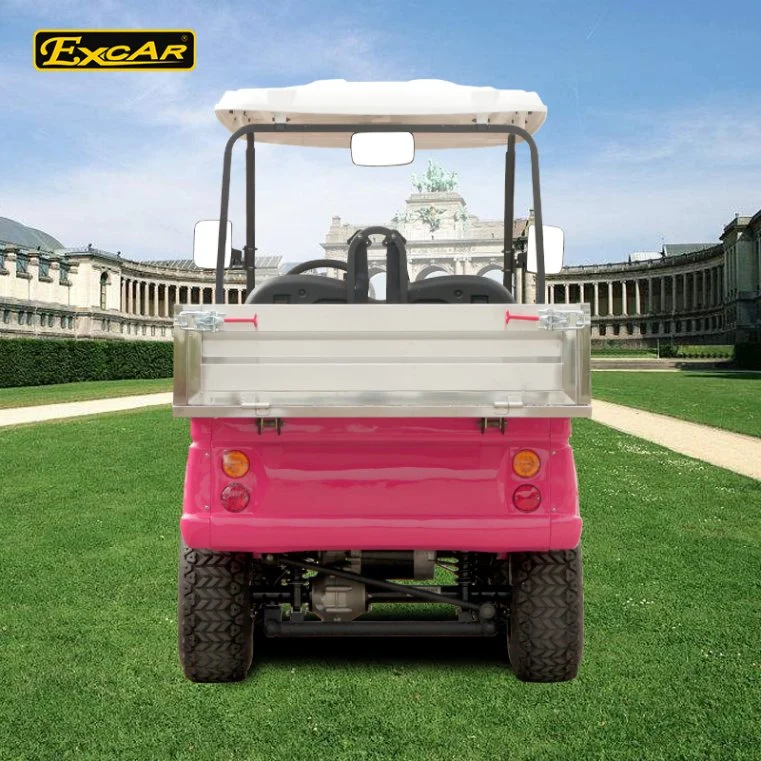 Pink Electric Car with Open Cargo/ Trojan Battery/Curtis Controller 3700W