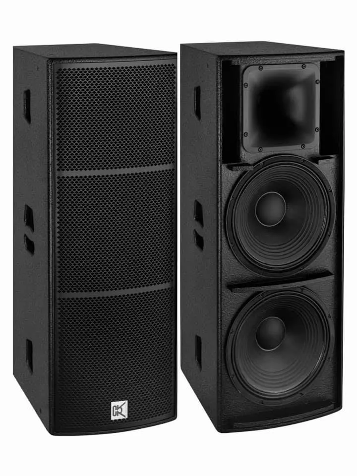 Cvr PA Line Array Sub-Bass System Double 18" Subwoofer Bass Speaker