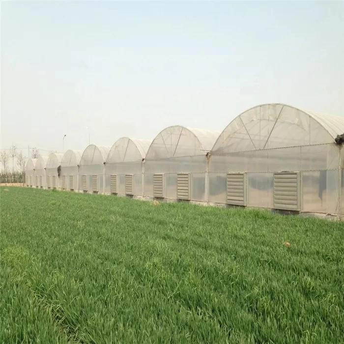 Low Price UV Film Multispan Economic Poly Farm Agriculture Greenhouse