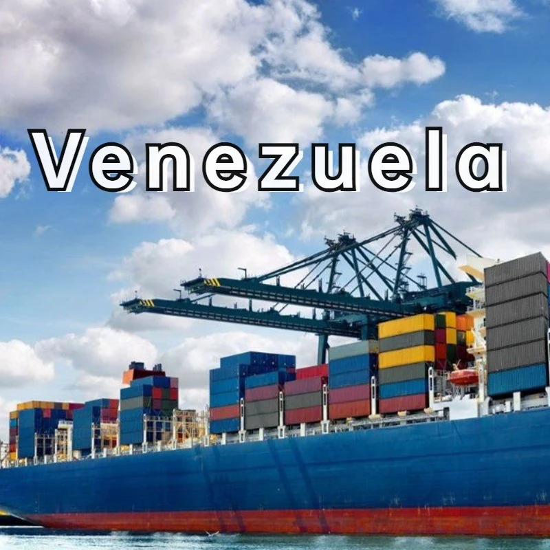 1688 DDP Sea Freight Transportation Maritima From China to Venezuela