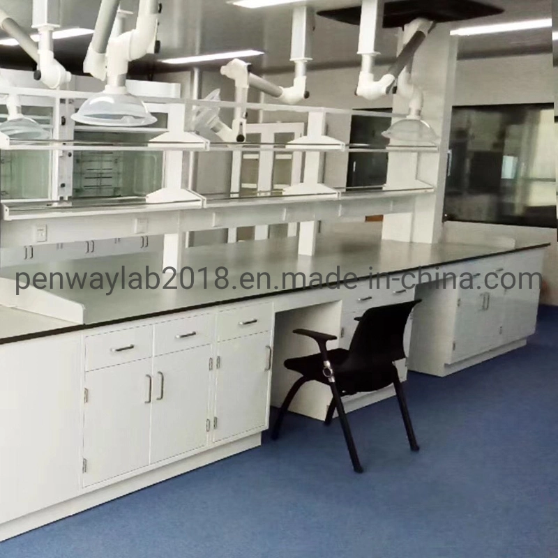 Steel Cabinet Science Lab Furniture Lab Table/ Phenolic Top (2500L*750Wmm) Black & Offwhite