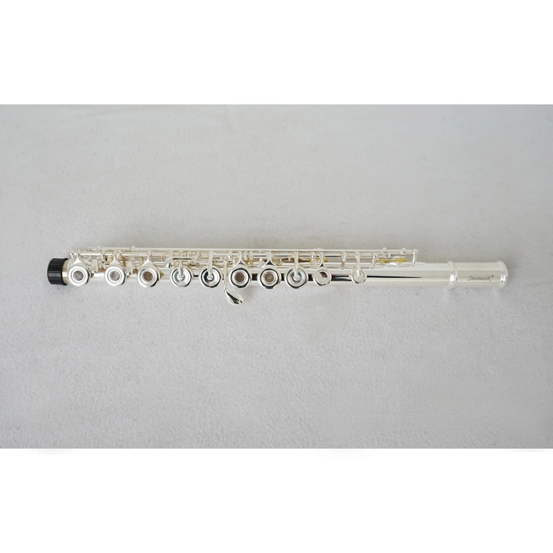 Wholesale/Supplier Price Custom Brand Nickel Finish 17 Holes Flute Brass Instrument