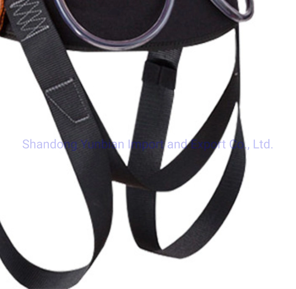 Five-Point Adjustable Waist Protection Positioning Safety Belt