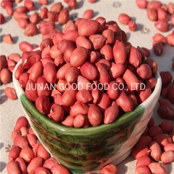 Hot Sale Peanut and Groundnut Without Shell Peanut