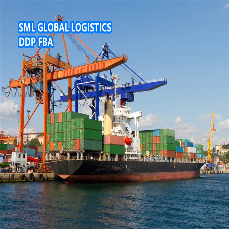 Cheap Express/Air Freight From China to Savannah/Toronto/Montreal/Miami/New York DDP Sea Freight Forwarder Logistics Shipping