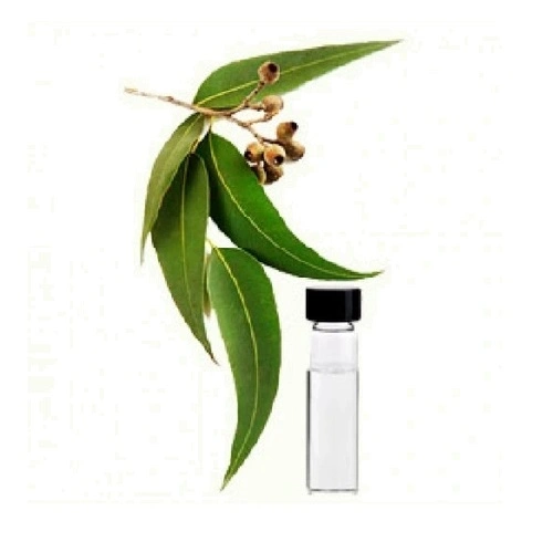 Usine de haute qualité d'alimentation en huile d'Eucalyptus CAS 8000-48-4 avec un bon prix