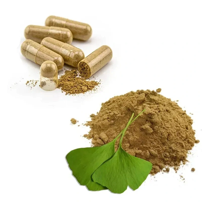 Alimentation d'usine de qualité pure extrait de Ginkgo Biloba Poudre