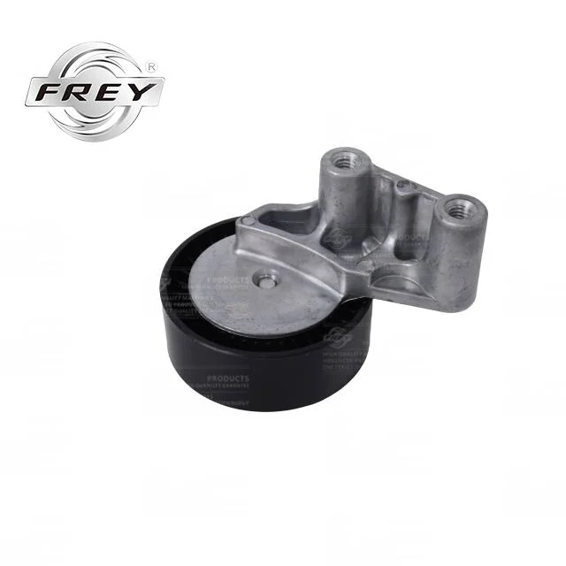 Car Parts Engine Timing Tensioner OEM 11287582761 for BMW N52 N53 F02 F18 F25