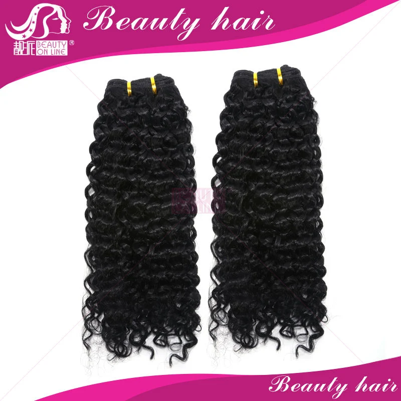 New 2016 Grade 7A Virgin Brazilian Bulk Hair for Braiding 4 Bundles Lot 100% Human Wet and Wavy Brazilian Braiding Hair