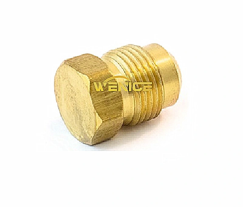 Brass Power Steering Fittings Brass Plug SAE Fittings Brass Pneumatic Fittings