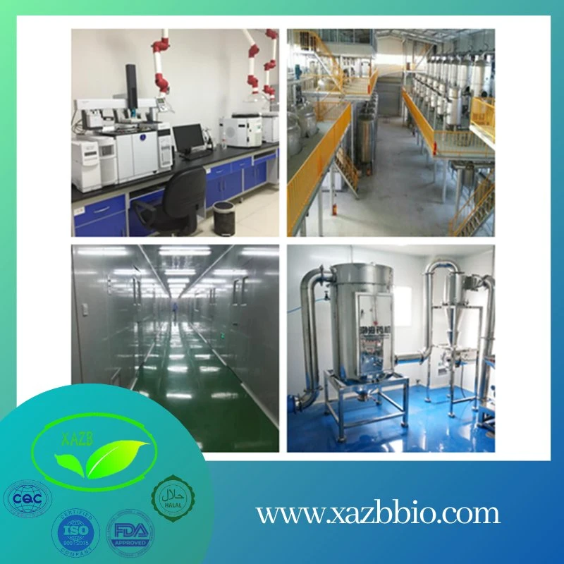 Xazb Supply High quality/High cost performance  Pesticide Insecticide Lufenuron 98%Tc, 95%Tc CAS103055-07-8