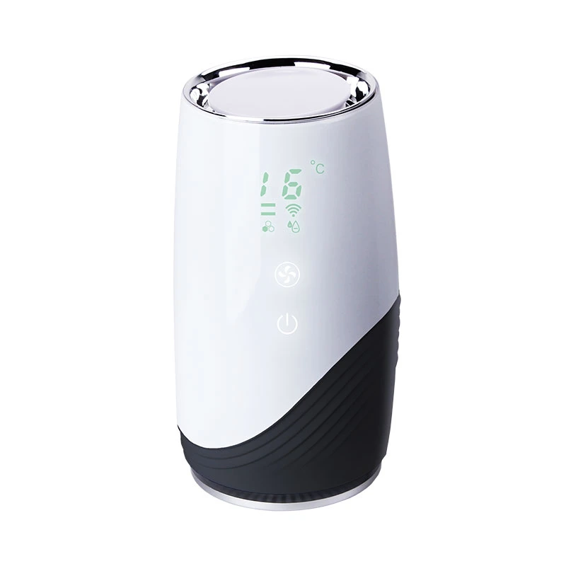 Ture HEPA Filter Portable Negative Ion Car New Arrival Air Purifier