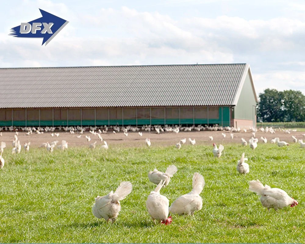 Granja de pollos de aves de corral galvanizado materiales de construcción de diseño de la casa Filipinas