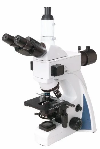 Bestscope BS-2040FT (LED, TB) Fluorescent Biological Microscope