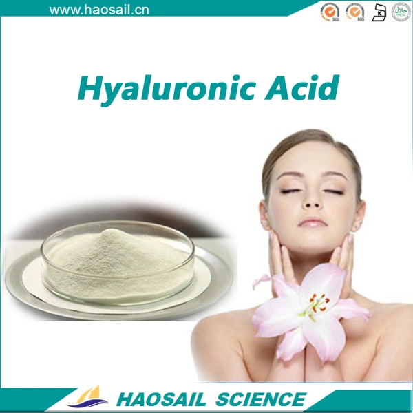 Superior Quality Beauty Product Food Grade and Cosmetic Grade Sodium Hyaluronate