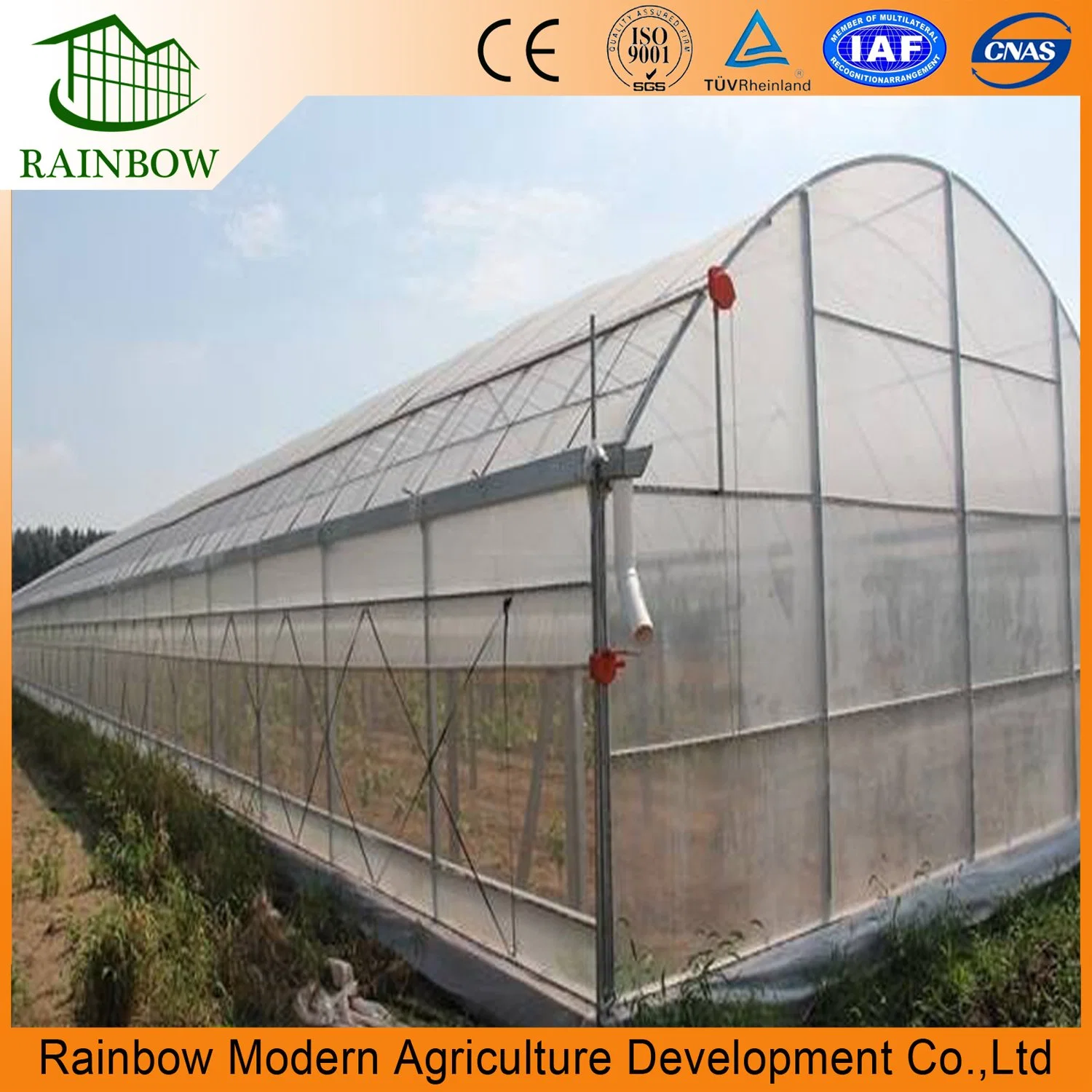 Single Span Cucumber Plastic Greenhouse