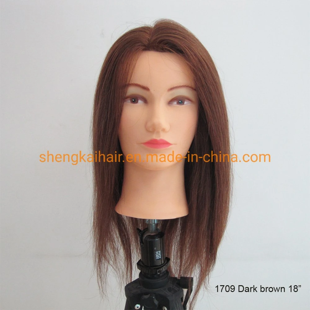 China Wholesale/Supplier Good Quality Handtied Barber Real Human Hair Training Heads 686