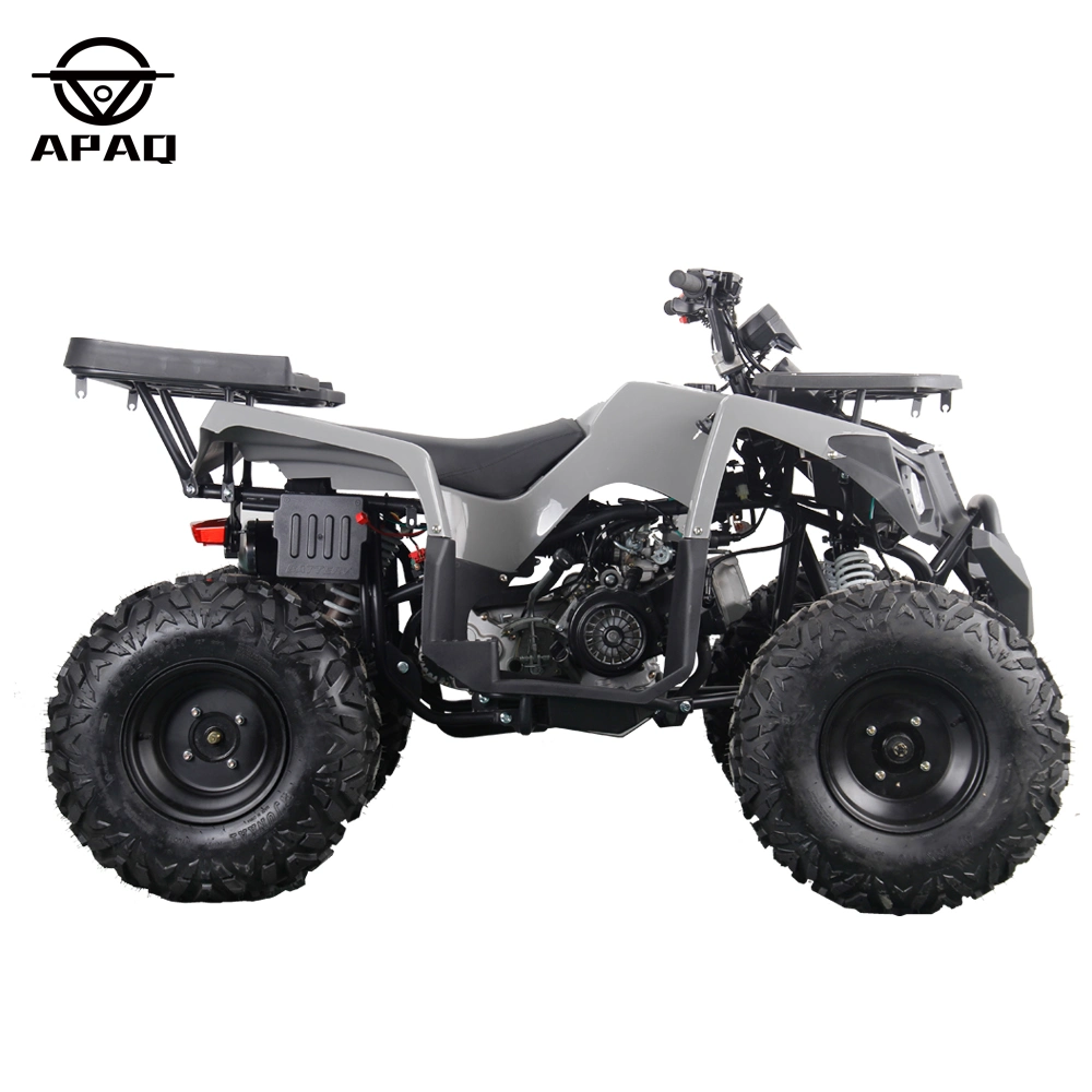 Apq200 2023 New 150cc 200cc 4 Stroke Air-Cooled Gasoline Quad ATV