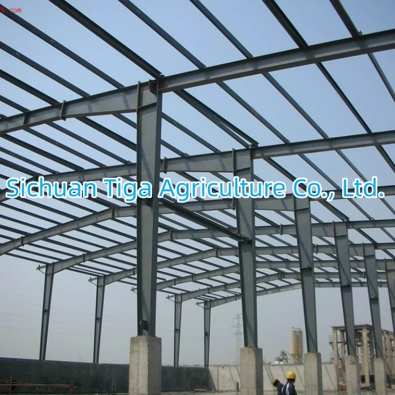 Light Weight Steel Structure with Convenient Construction Made in China