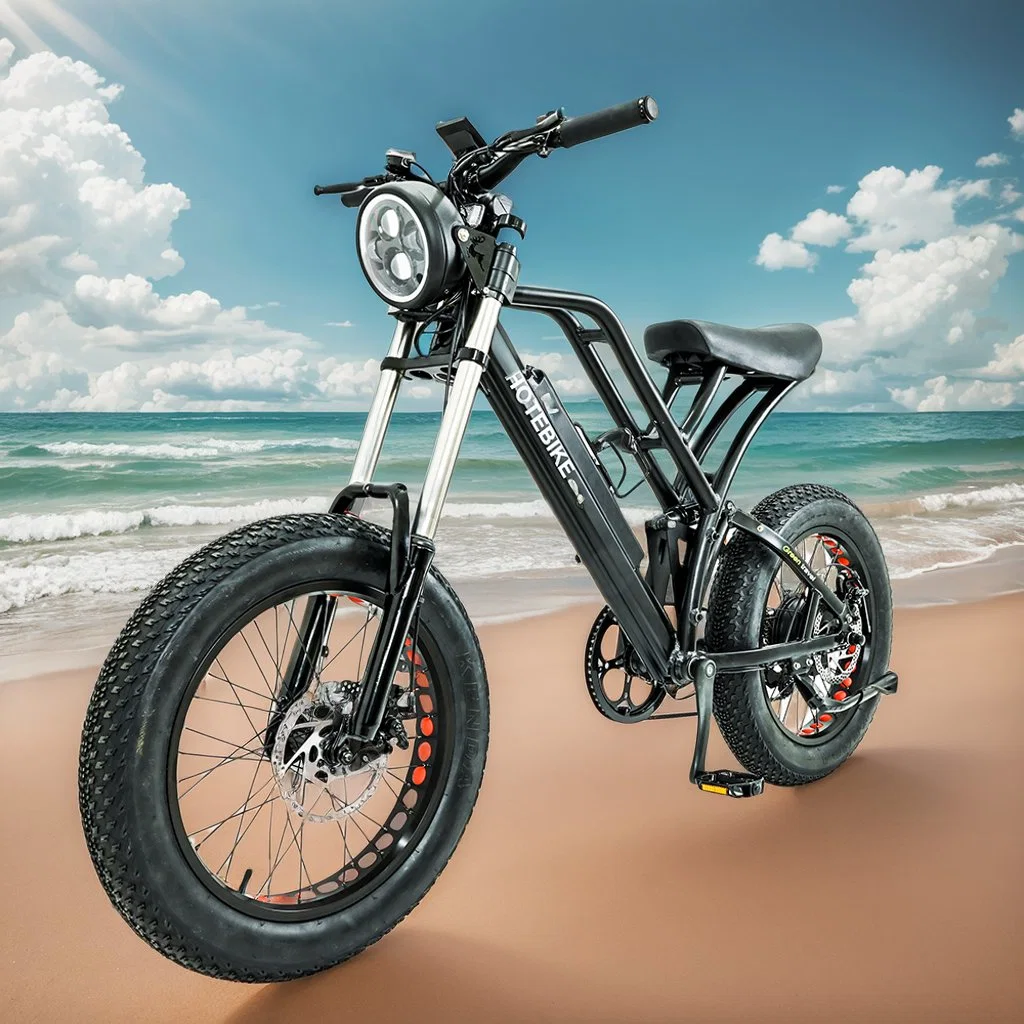 Mayorista/Proveedor personalizado de montaña bicicleta eléctrica Fatbike 20 pulgadas neumático Fat Dirtbike eléctrico de 20 pulgadas Nuevo neumático de grasa E Bike