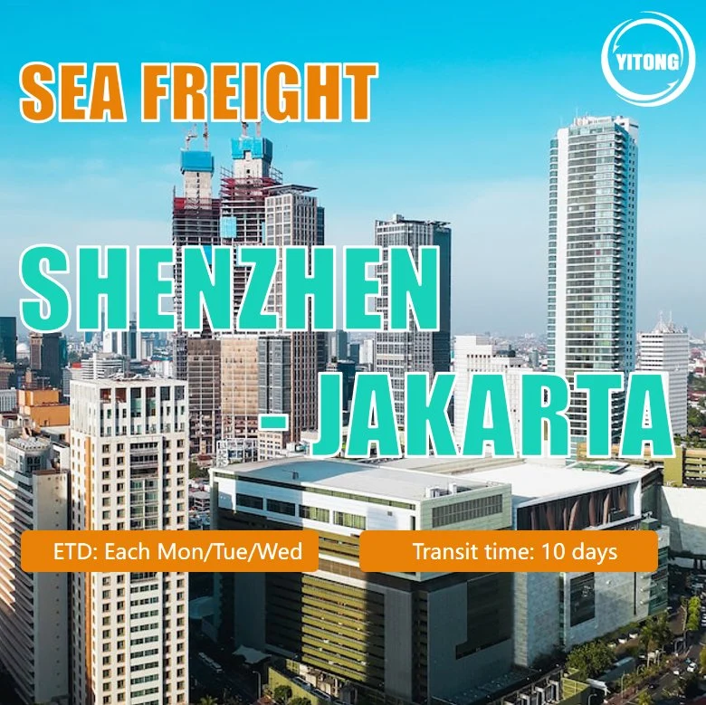 Sea Freight Rate From Shenzhen to Jakarta Indonesia