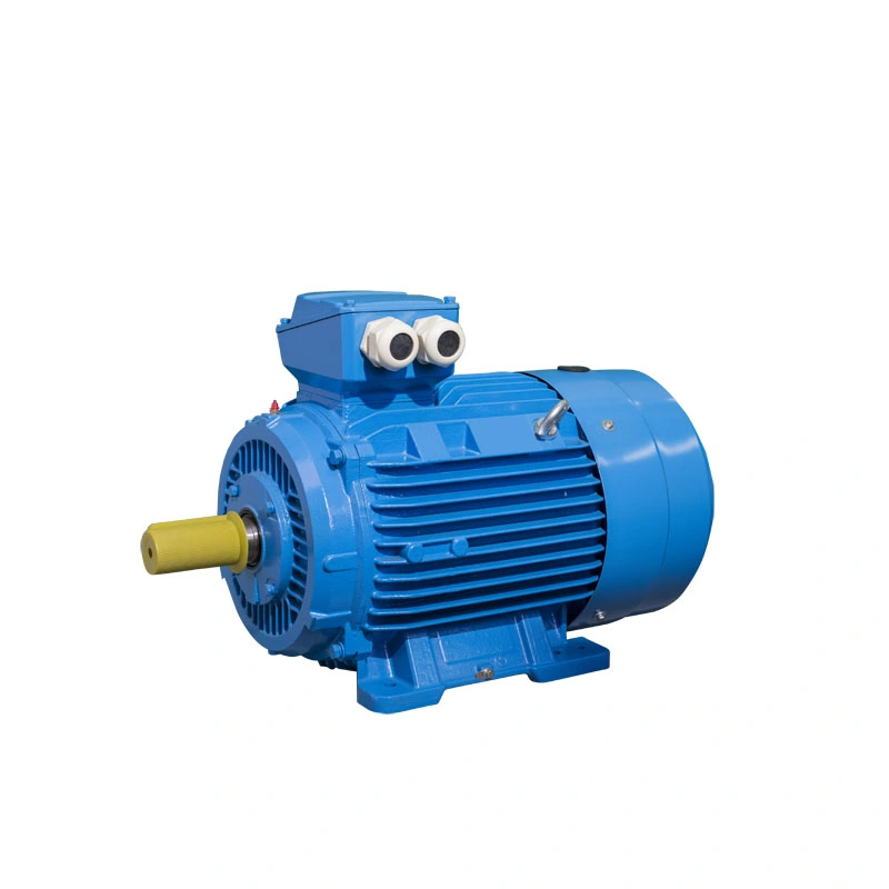 Ie4 High Efficiency 3pH General Purpose 0.75kw Electric AC Motor Ye4 90 1000rpm