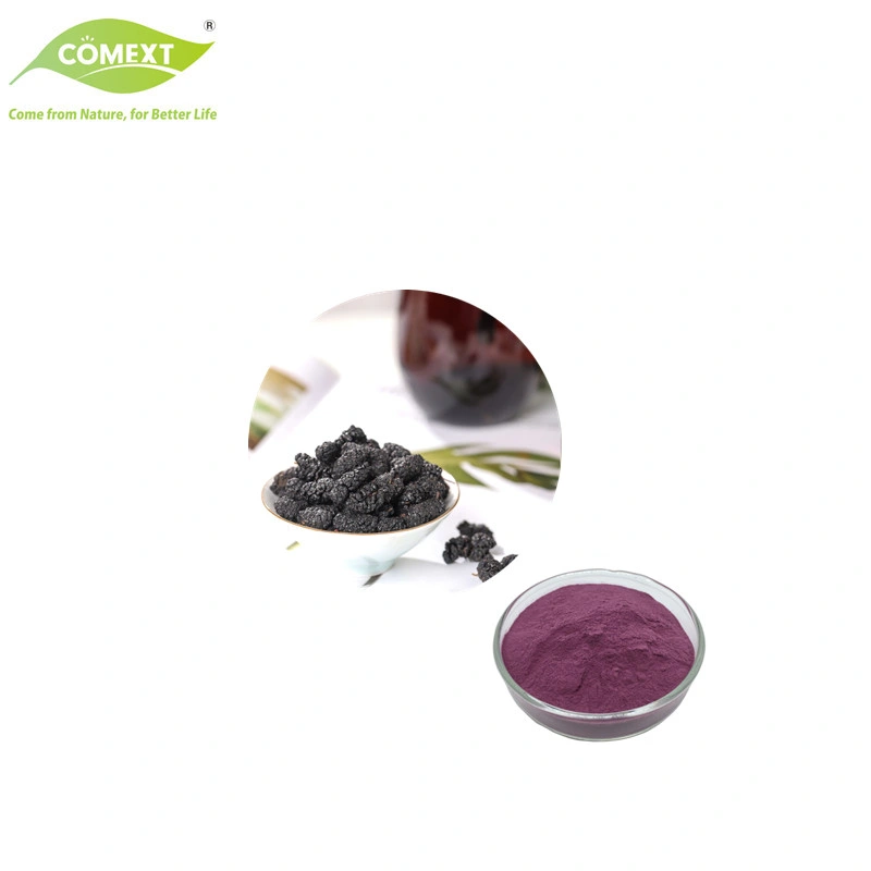 Comext Natürliche Mulberry Fruit Extract Mulberry Fruit Powder Saftpulver