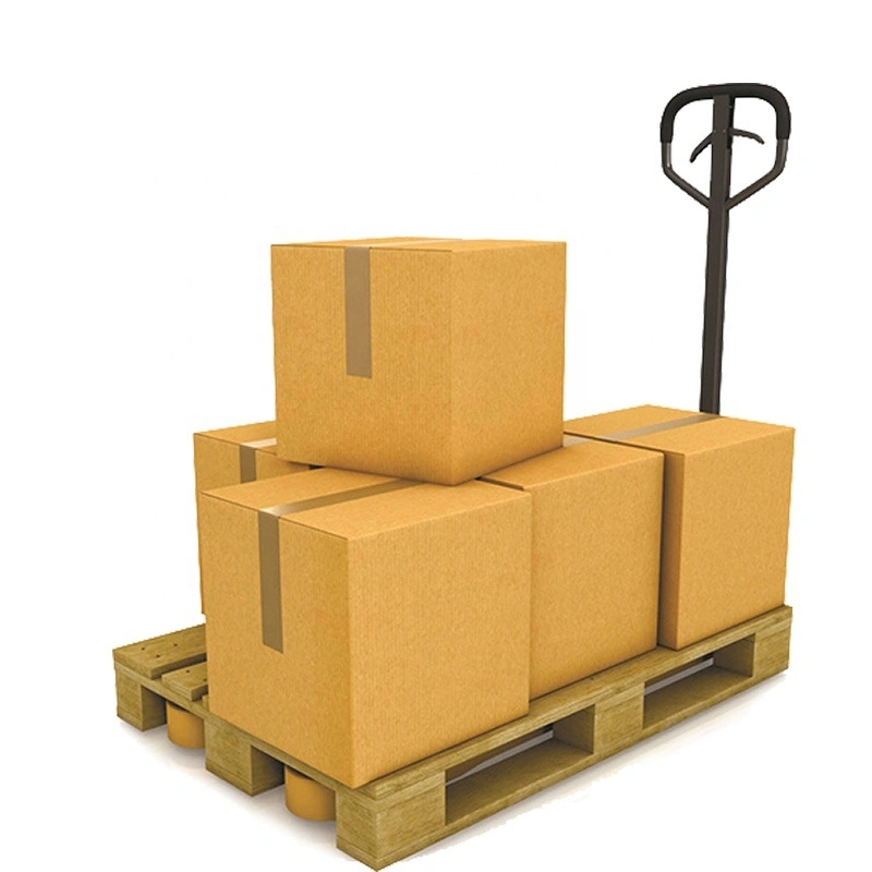 Sea Freight to Saudi Arabia From China Low Price Shipping Forwarding Agent DDP Door to Door Service