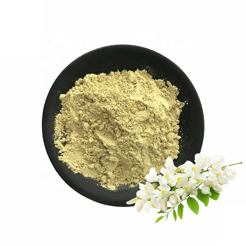 Hot Sale 100% Nature Sophora Japonica Extract HPLC 95% Rutin Powder Supplement