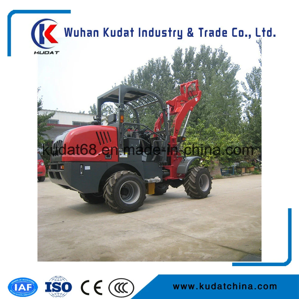 1tons Mini Wheel Loader with CE (CS910)