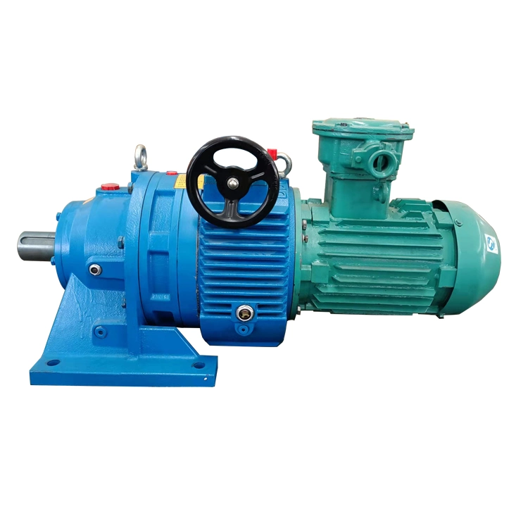 Step-Less Cycloidal Speed Reducer with Electric Motor for Sale