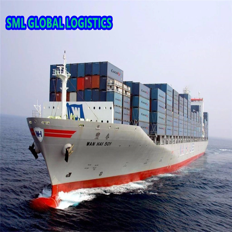 DDU/DDP Sea Shipping Freight Forwarder 20 FT 40FT 40hq 45hq Container From China to India