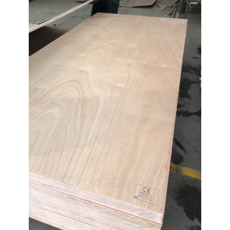 China Linyi Best Price Packing Plywood Bintangor Veneer Poplar Core Plywood Veneer