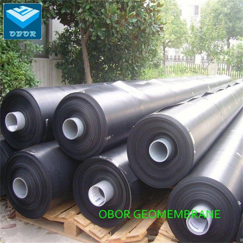 ASTM/GB Standard Geomembrane with Direct Factory Price China