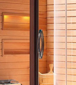 Dry and Wet Sauna Steam Room Sauna Cabin (K9751)