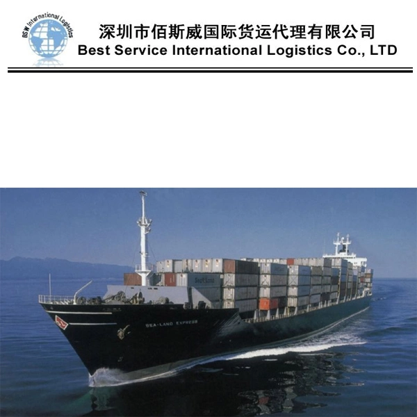 China Agent Sea Freight to Sweden Transportation Logistics